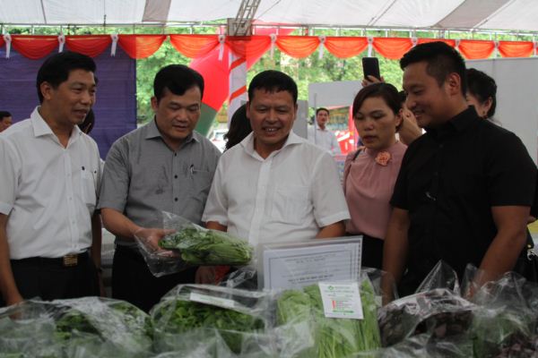 anh: dan ha noi hao huc di 