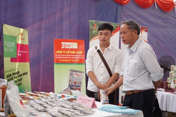 anh: dan ha noi hao huc di 
