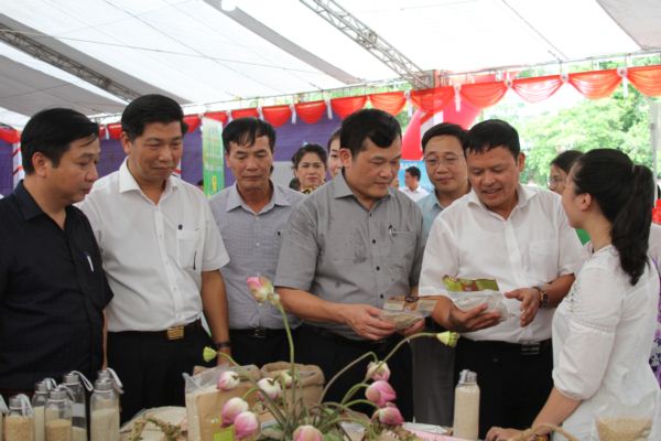 anh: dan ha noi hao huc di 