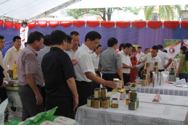 anh: dan ha noi hao huc di 