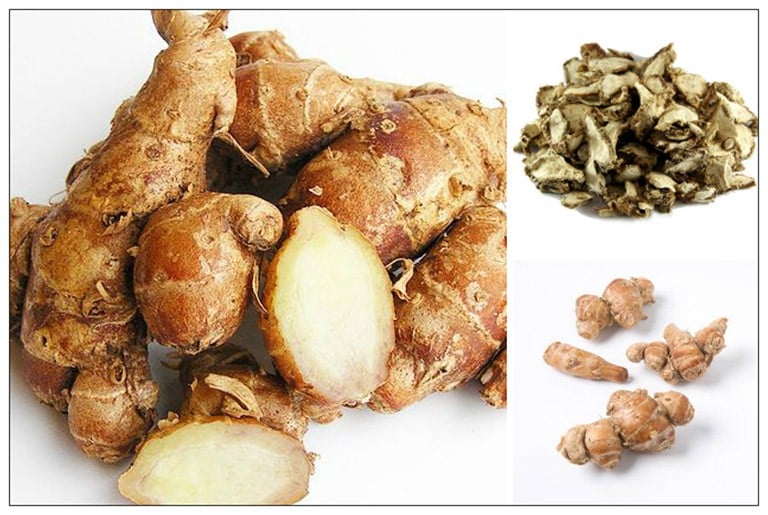 Củ của cây địa liền được sử dụng để làm thuốc có tác dụng giảm đau, chống viêm, kích thích long đờm,...Ảnh: lamcanh. Củ của cây địa liền được sử dụng để làm thuốc có tác dụng giảm đau, chống viêm, kích thích long đờm,...Ảnh: lamcanh.