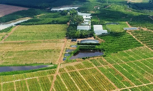 Hình ảnh quảng bá để bán sản phẩm farmstay xuất hiện trên các chợ trực tuyến. Hình ảnh quảng bá để bán sản phẩm farmstay xuất hiện trên các chợ trực tuyến.