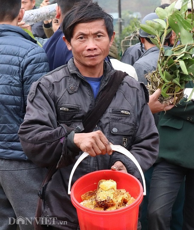 La liệt sâu dừa, rau đắng, nấm ngọc cẩu "tăng lực" ở chợ Tủa Chùa - Ảnh 5. La liệt sâu dừa, rau đắng, nấm ngọc cẩu "tăng lực" ở chợ Tủa Chùa - Ảnh 5.