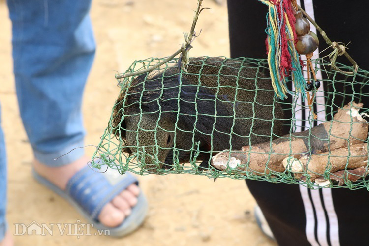 La liệt sâu dừa, rau đắng, nấm ngọc cẩu "tăng lực" ở chợ Tủa Chùa - Ảnh 6. La liệt sâu dừa, rau đắng, nấm ngọc cẩu "tăng lực" ở chợ Tủa Chùa - Ảnh 6.