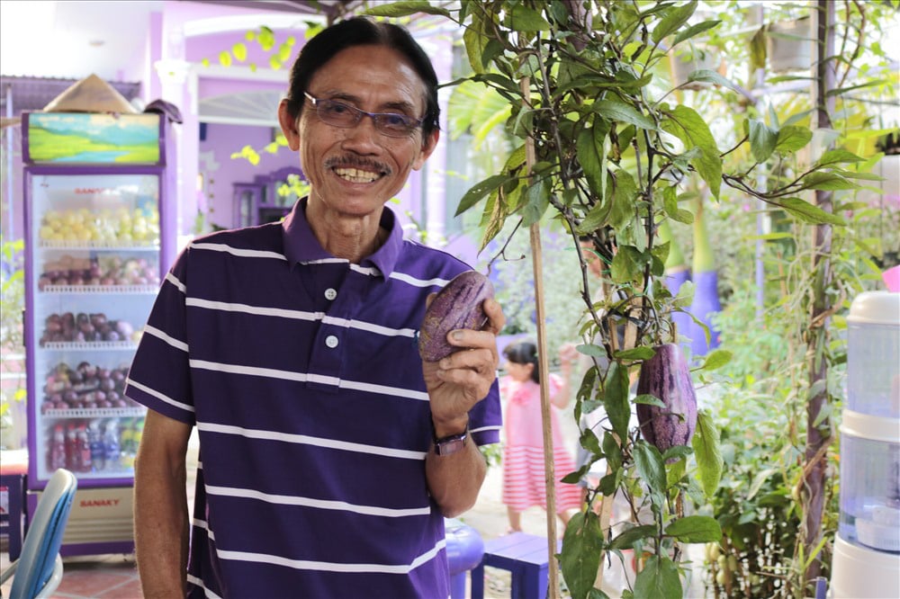 Trồng dưa trong chậu, giá cao vẫn không đủ bán - Ảnh 1. Trồng dưa trong chậu, giá cao vẫn không đủ bán - Ảnh 1.