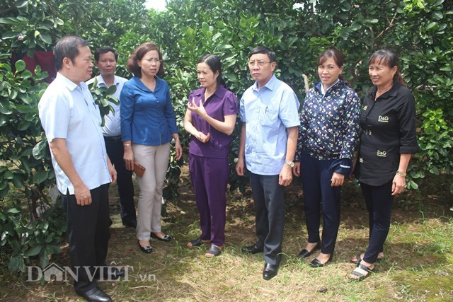 Những kết quả tiêu biểu sau 10 năm xây dựng NTM của tỉnh Quảng Ninh - Ảnh 5. Những kết quả tiêu biểu sau 10 năm xây dựng NTM của tỉnh Quảng Ninh - Ảnh 5.