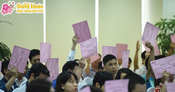 Tìm đường cho cổ đông nhỏ vào hội đồng quản trị - Ảnh 1. Tìm đường cho cổ đông nhỏ vào hội đồng quản trị - Ảnh 1.