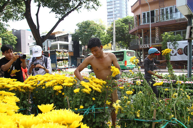 Tết Canh Tý 2020: Lại tái diễn cảnh đập bỏ hoa ngày 30 tháng chạp - Ảnh 2. Tết Canh Tý 2020: Lại tái diễn cảnh đập bỏ hoa ngày 30 tháng chạp - Ảnh 2.