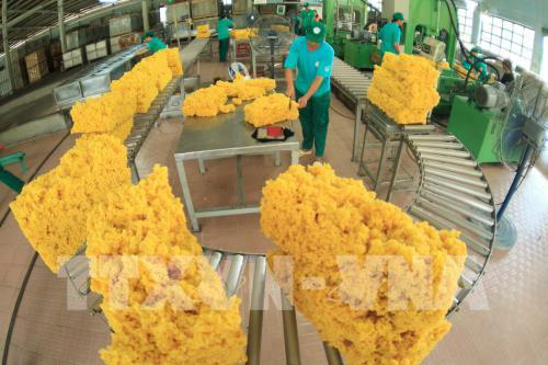 Nông nghiệp Việt Nam và mục tiêu xuất khẩu trên 43 tỷ USD - Ảnh 3. Nông nghiệp Việt Nam và mục tiêu xuất khẩu trên 43 tỷ USD - Ảnh 3.