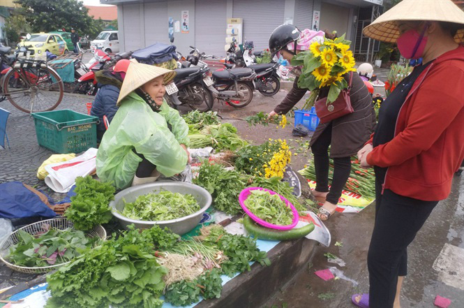Quảng Bình: Trời đổ lạnh, rau tăng giá - Ảnh 1. Quảng Bình: Trời đổ lạnh, rau tăng giá - Ảnh 1.
