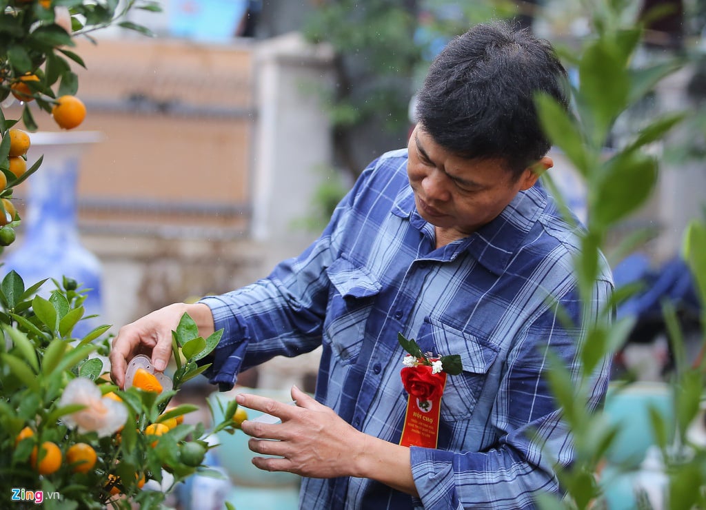 &quot;Độc lạ&quot; trái quất hình thỏi vàng, tạo chữ lộc ở Hà Nội - Ảnh 4.