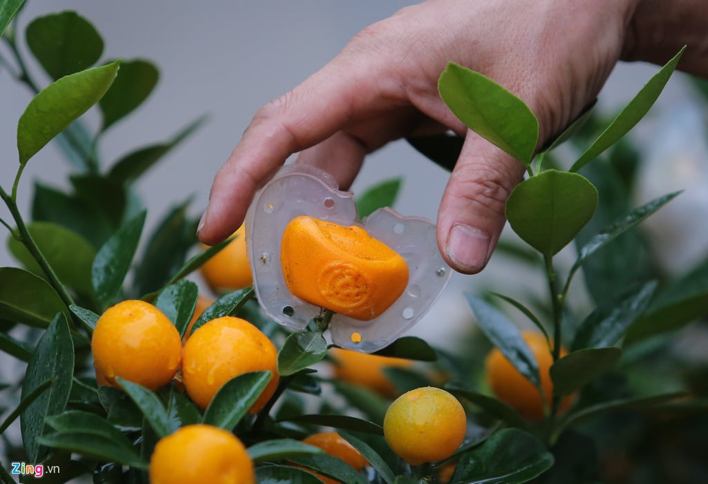 &quot;Độc lạ&quot; trái quất hình thỏi vàng, tạo chữ lộc ở Hà Nội - Ảnh 5.