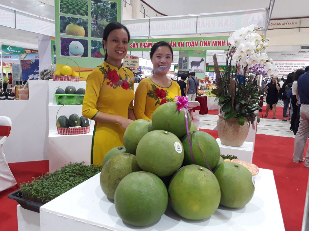 Ninh Bình có loại trà hoa vàng quý hiếm, bán đắt như tôm tươi nhưng dân Thủ đô vẫn thích - Ảnh 4.