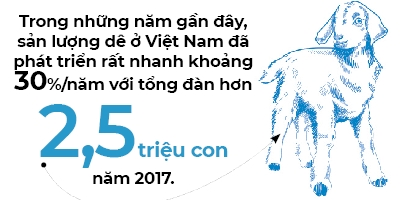 Nuôi dê công nghệ cao - Ảnh 1. Nuôi dê công nghệ cao - Ảnh 1.