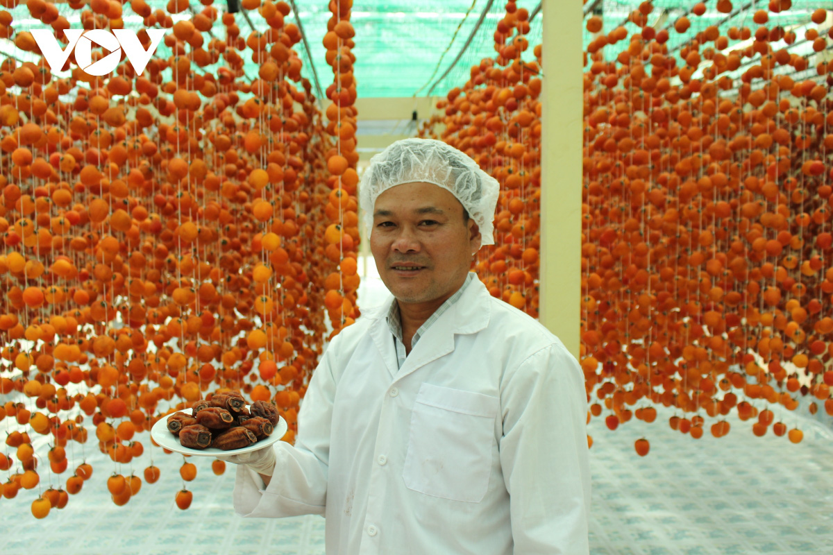 Đặc sản hồng Đà Lạt bắt đầu tăng giá, đầu ra ổn định - Ảnh 1. Đặc sản hồng Đà Lạt bắt đầu tăng giá, đầu ra ổn định - Ảnh 1.