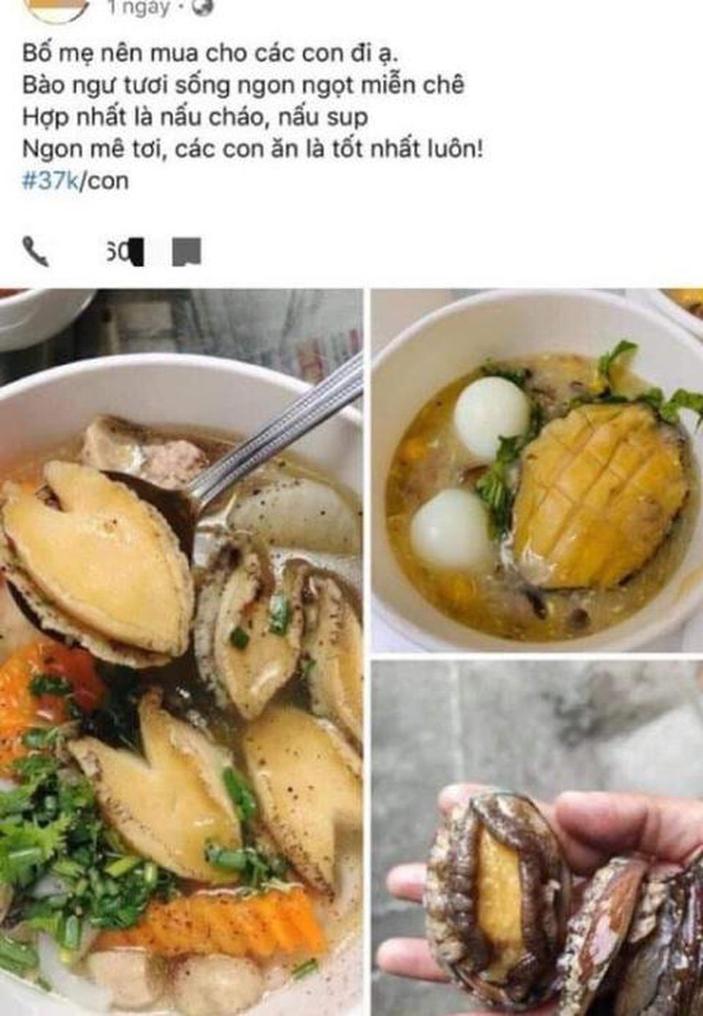 Bào ngư đại gia giá bình dân: Nhập từ Trung Quốc - Ảnh 2.