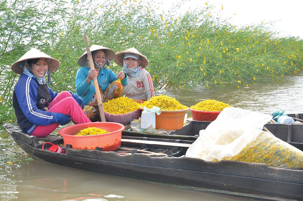 Cà na, bông điên điển: Quả dại, hoa dại- sản vật mùa nước nổi ngày nào giờ hóa thành đặc sản hết thảy - Ảnh 2.