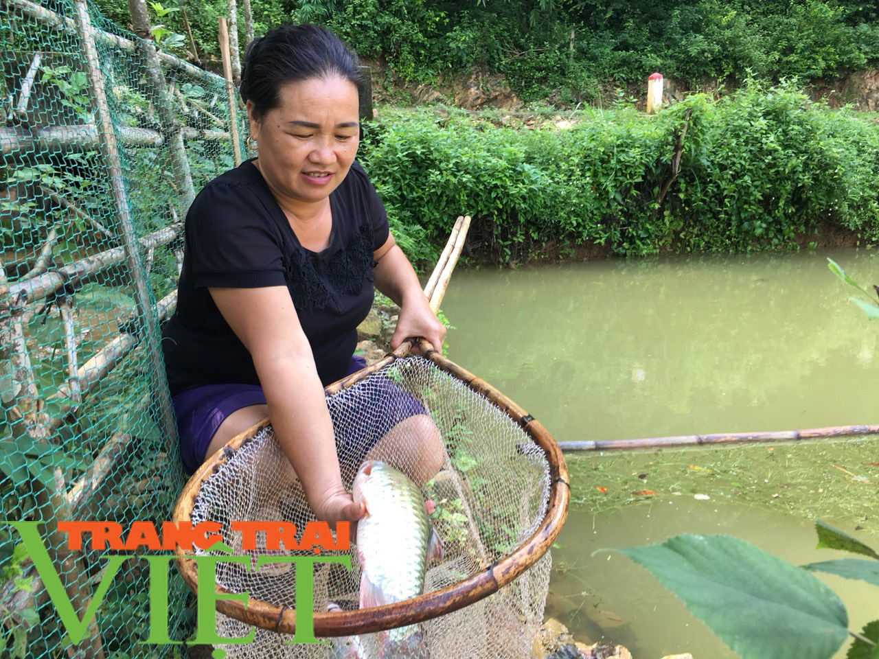 Cầm tay chỉ việc giúp nông dân phát triển sản xuất - Ảnh 4. Cầm tay chỉ việc giúp nông dân phát triển sản xuất - Ảnh 4.