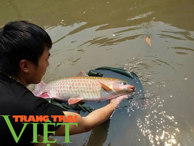 Cầm tay chỉ việc giúp nông dân phát triển sản xuất - Ảnh 1. Cầm tay chỉ việc giúp nông dân phát triển sản xuất - Ảnh 1.