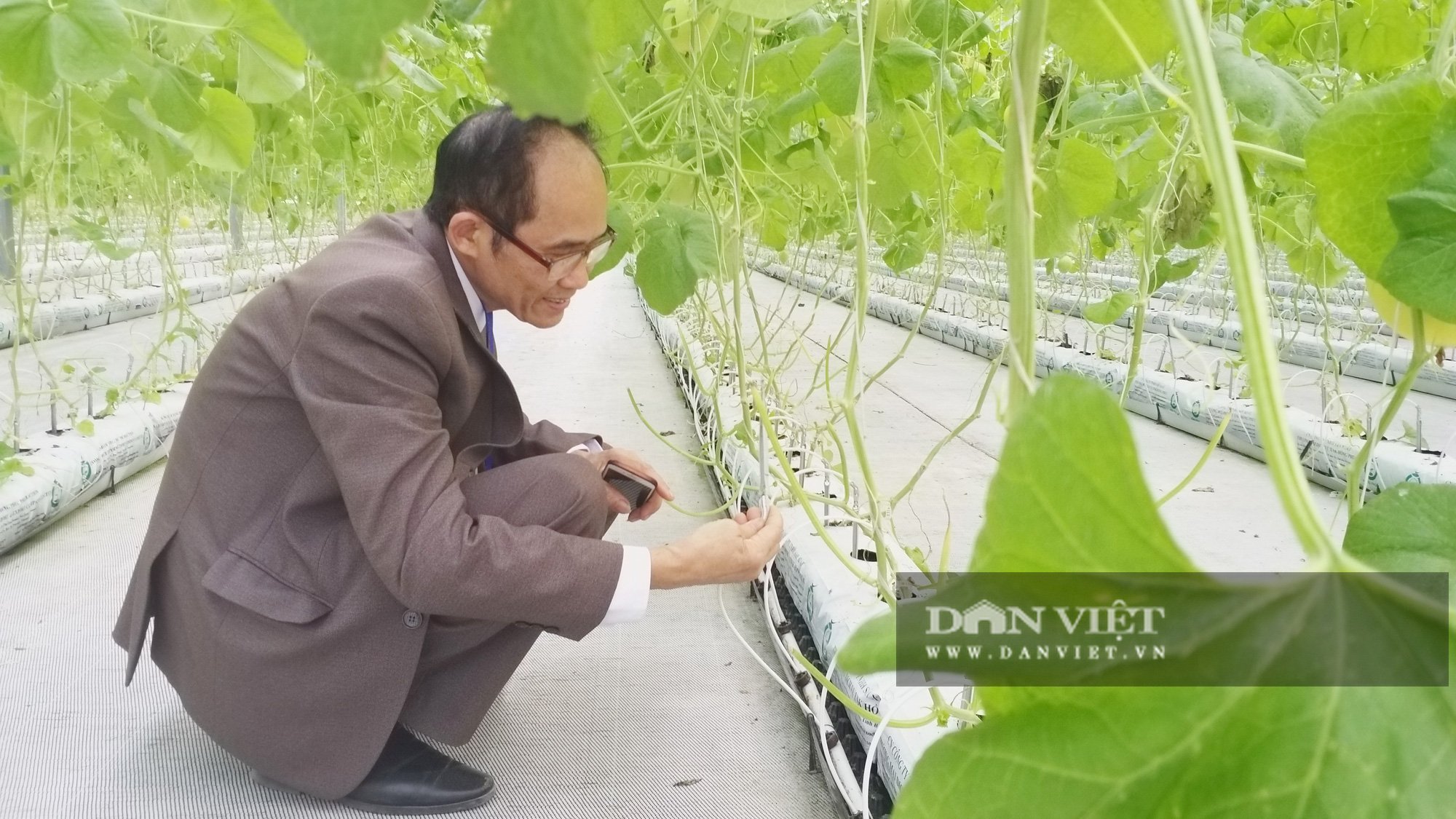 Nông dân Việt Nam xuất sắc 2020 và những cái nhất - Ảnh 2.