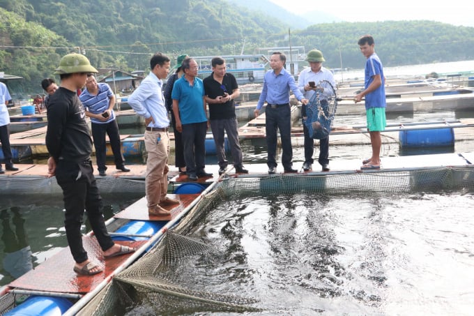 Khai thác tiềm năng mặt nước lòng hồ, nuôi thủy sản bền vững - Ảnh 3.