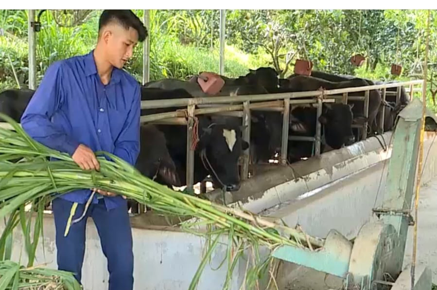 Đại hội Đảng bộ tỉnh Phú Thọ khóa XIX: Phấn đấu 84% số khu dân cư đạt chuẩn nông thôn mới - Ảnh 3.