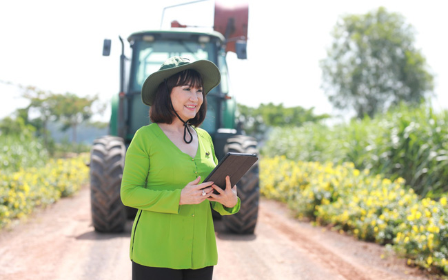 Tỷ phú Huỳnh Bích Ngọc xây dựng để chế mía đường như thế nào? - Ảnh 1. Tỷ phú Huỳnh Bích Ngọc xây dựng để chế mía đường như thế nào? - Ảnh 1.