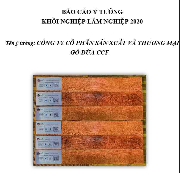 Sàn gỗ từ cây dừa đoạt giải nhất cuộc thi Khởi nghiệp sáng tạo Lâm nghiệp - Ảnh 1.