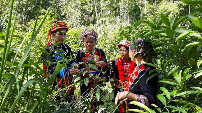 Khởi nghiệp từ sản phẩm truyền thống để bảo vệ văn hóa của người Dao - Ảnh 1.