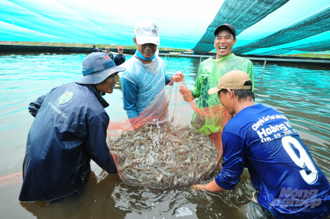 Nuôi tôm siêu thâm canh thích nghi biến đổi khí hậu - Ảnh 2. Nuôi tôm siêu thâm canh thích nghi biến đổi khí hậu - Ảnh 2.