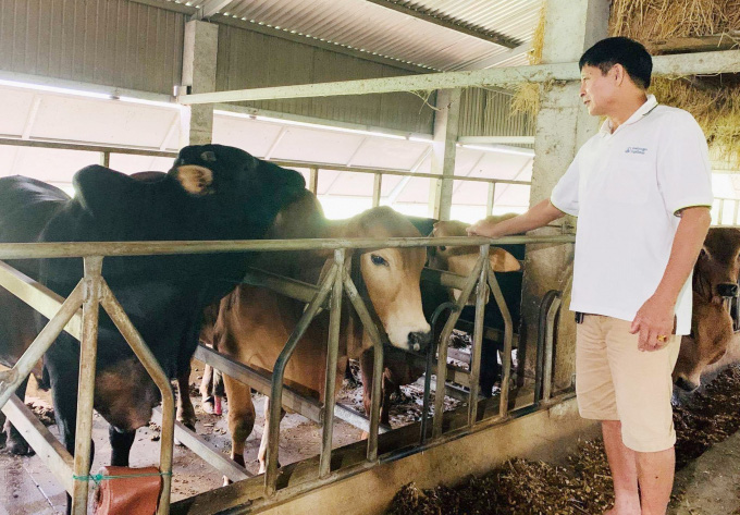 Tỷ phú nông dân trên đồng đất hoang - Ảnh 2. Tỷ phú nông dân trên đồng đất hoang - Ảnh 2.