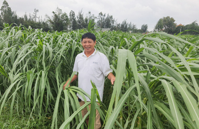 Tỷ phú nông dân trên đồng đất hoang - Ảnh 4. Tỷ phú nông dân trên đồng đất hoang - Ảnh 4.