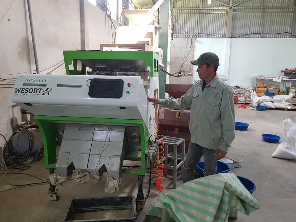 “Tâm Sáng” đánh thức hương vị gạo Điện Biên - Ảnh 3.
