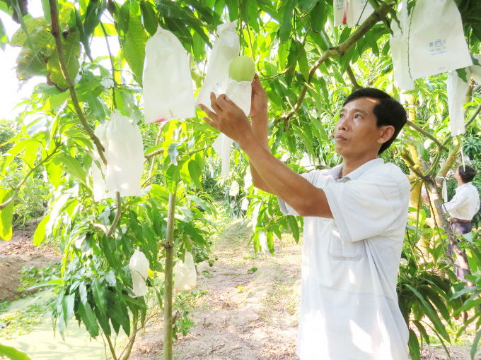 Đồng Tháp: Triển khai mô hình thi đua 'Người nông dân chuyên nghiệp' - Ảnh 1. Đồng Tháp: Triển khai mô hình thi đua 'Người nông dân chuyên nghiệp' - Ảnh 1.