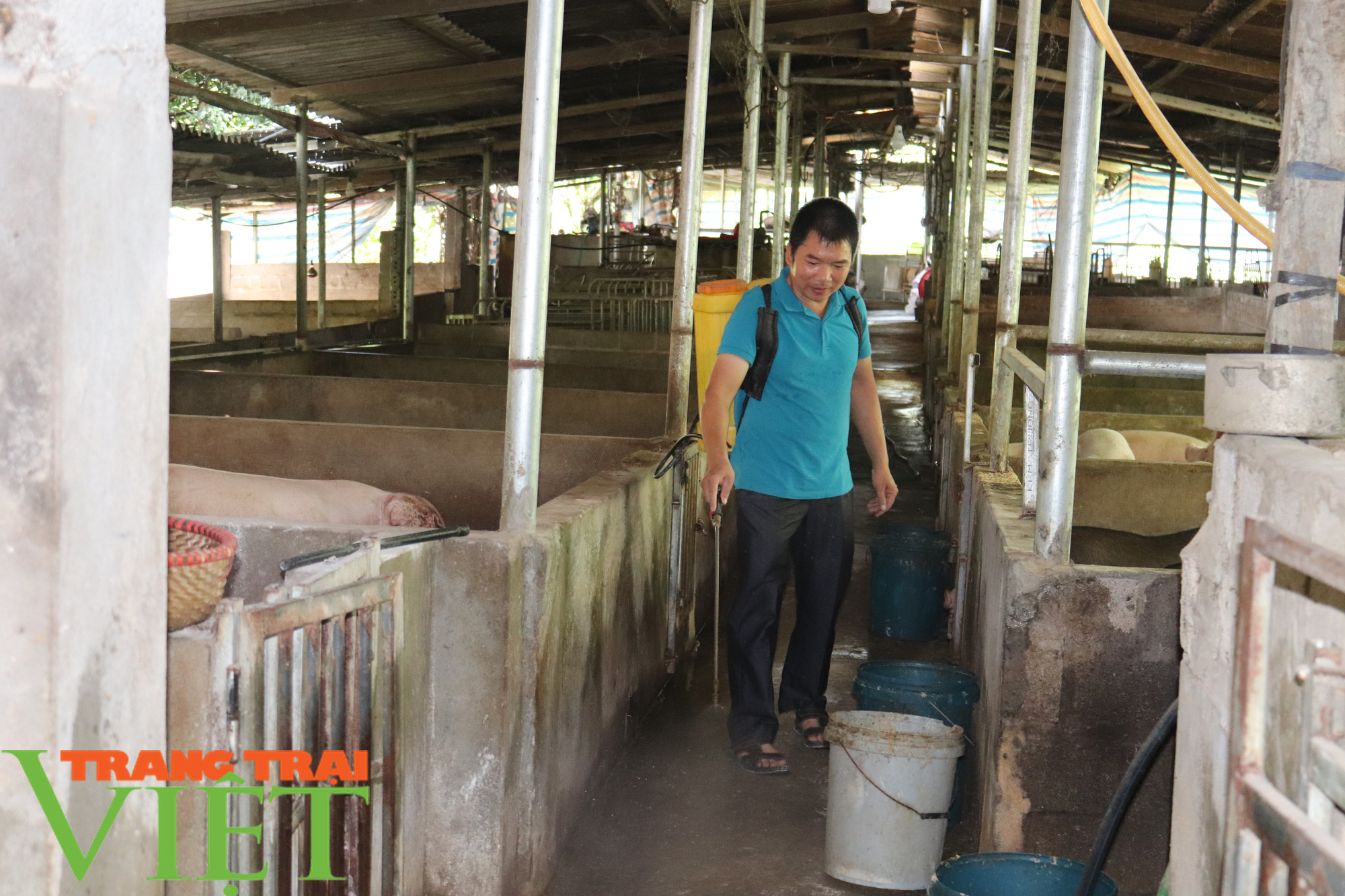 “Đầu tàu” ở bản Nghĩa Hưng - Ảnh 5. “Đầu tàu” ở bản Nghĩa Hưng - Ảnh 5.