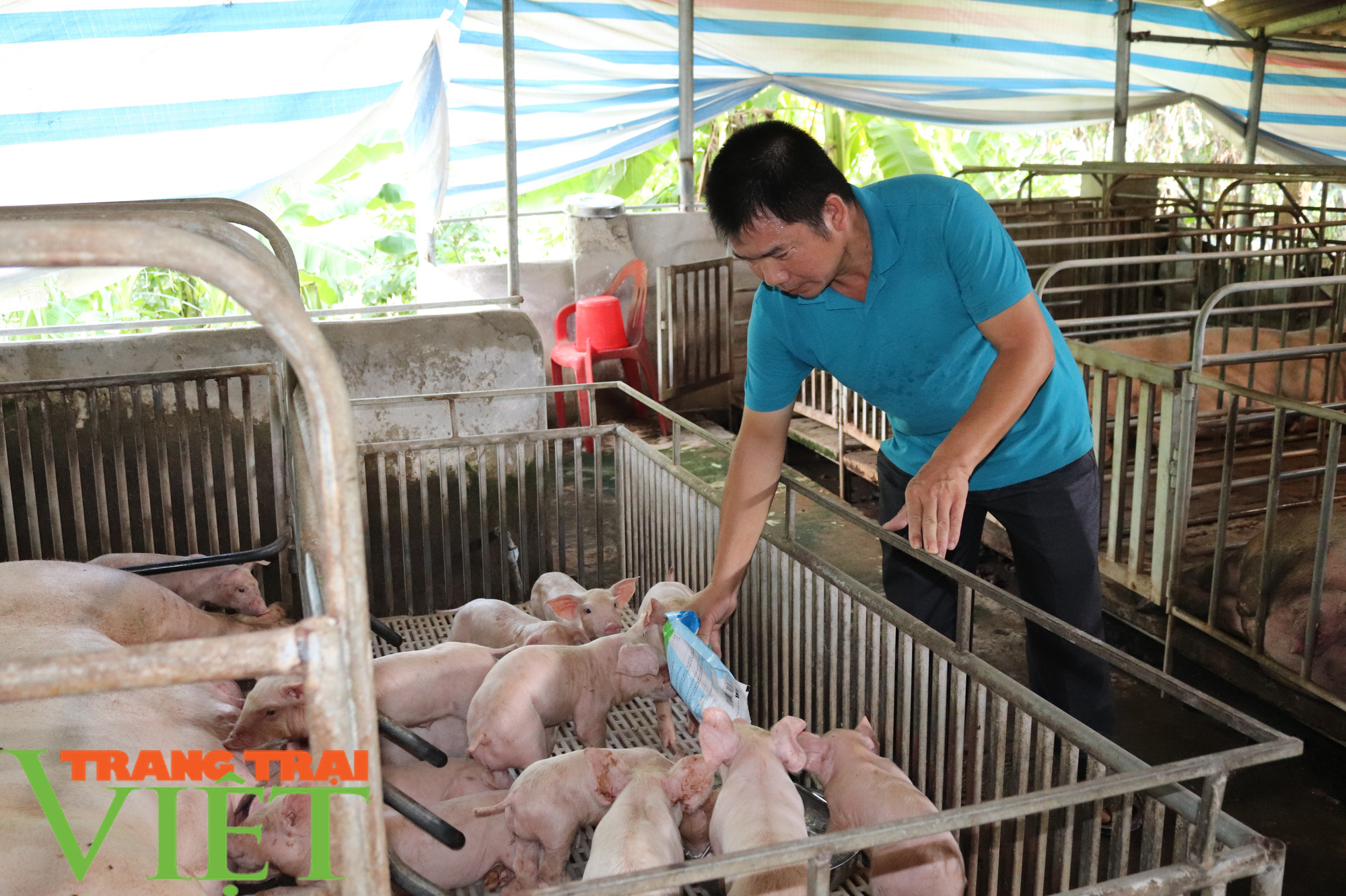 “Đầu tàu” ở bản Nghĩa Hưng - Ảnh 1. “Đầu tàu” ở bản Nghĩa Hưng - Ảnh 1.