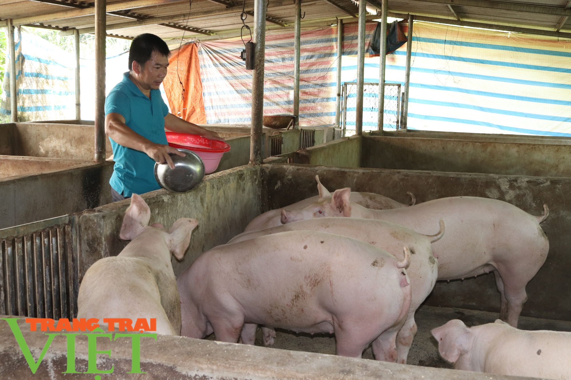 “Đầu tàu” ở bản Nghĩa Hưng - Ảnh 2. “Đầu tàu” ở bản Nghĩa Hưng - Ảnh 2.