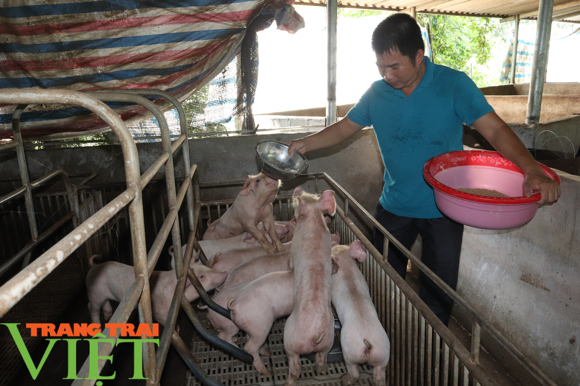 “Đầu tàu” ở bản Nghĩa Hưng - Ảnh 4. “Đầu tàu” ở bản Nghĩa Hưng - Ảnh 4.