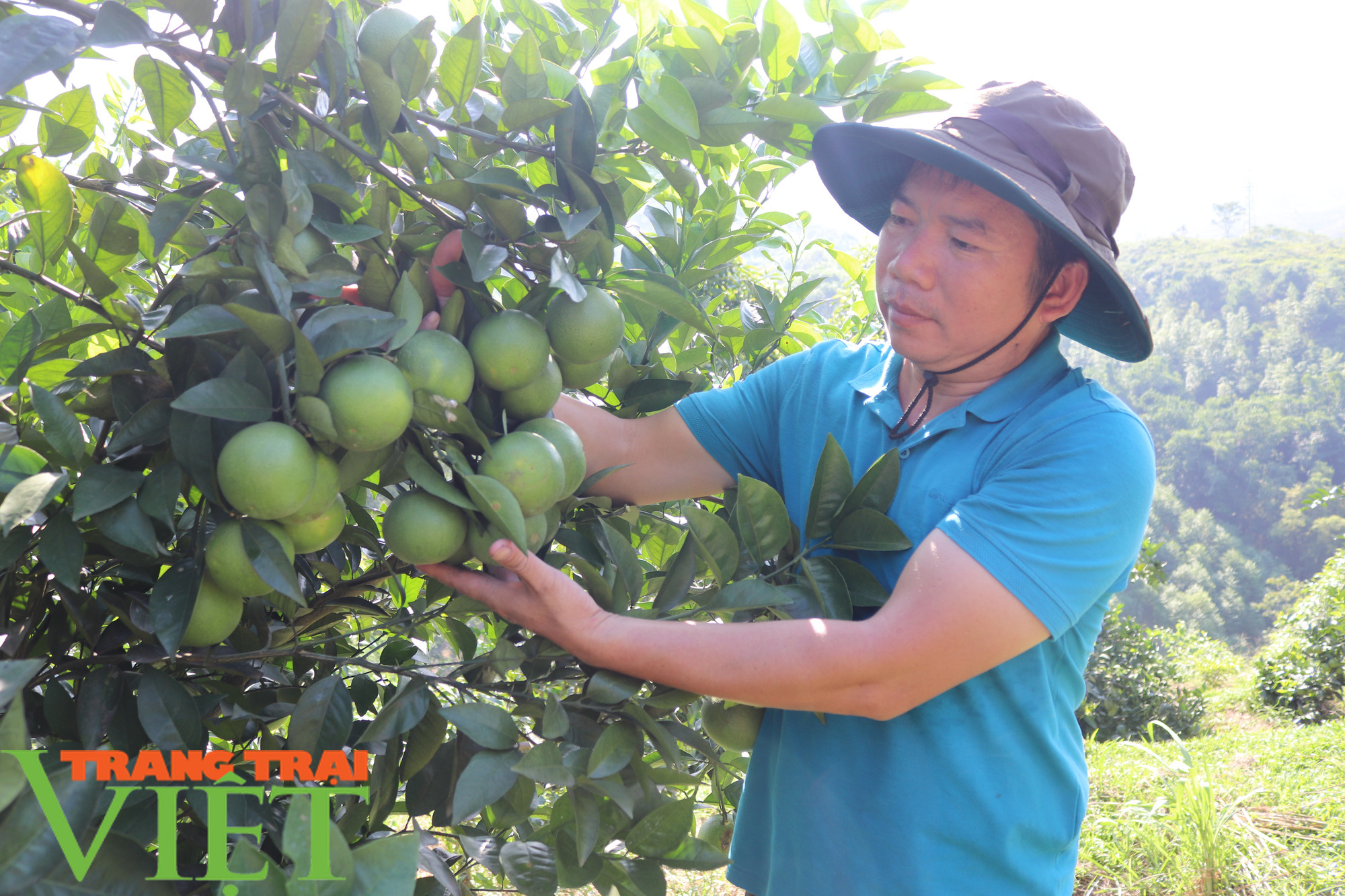 “Đầu tàu” ở bản Nghĩa Hưng - Ảnh 7. “Đầu tàu” ở bản Nghĩa Hưng - Ảnh 7.