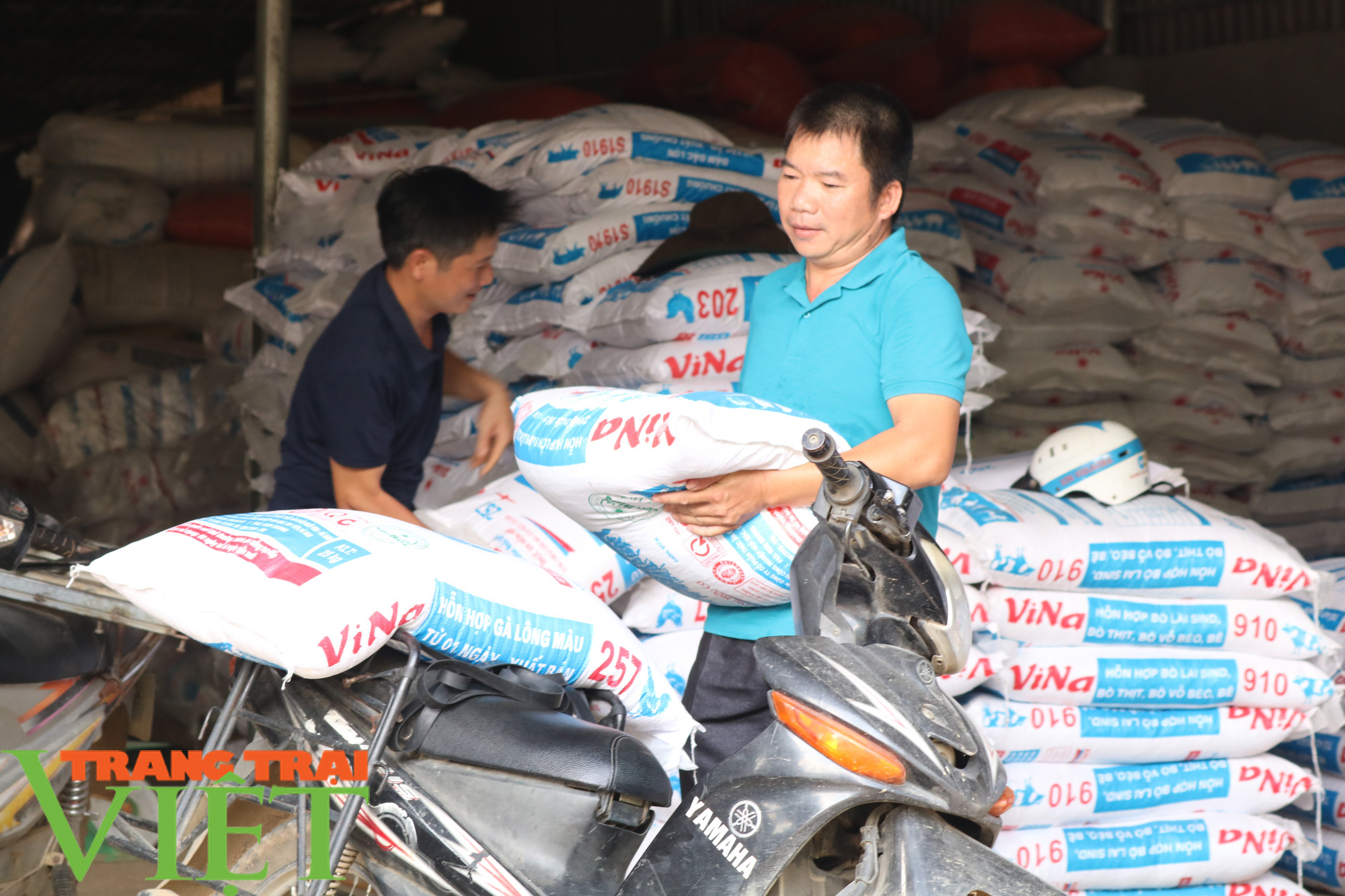 “Đầu tàu” ở bản Nghĩa Hưng - Ảnh 12. “Đầu tàu” ở bản Nghĩa Hưng - Ảnh 12.