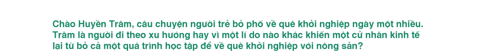 CEO đưa rau củ Đà Lạt lên Amazon: Làm nông nghiệp sạch phải có đủ đam mê, càng làm càng thấy có nhiều thứ cần - Ảnh 2. CEO đưa rau củ Đà Lạt lên Amazon: Làm nông nghiệp sạch phải có đủ đam mê, càng làm càng thấy có nhiều thứ cần - Ảnh 2.