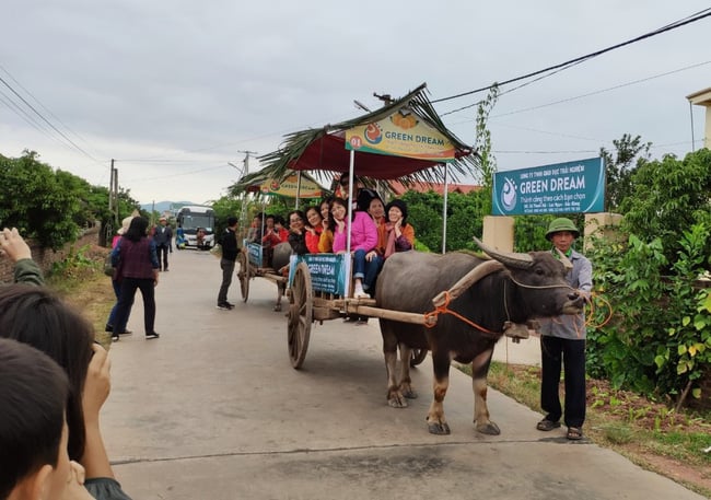 Thanh long, thương mại kéo nông thôn mới về đích - Ảnh 1.