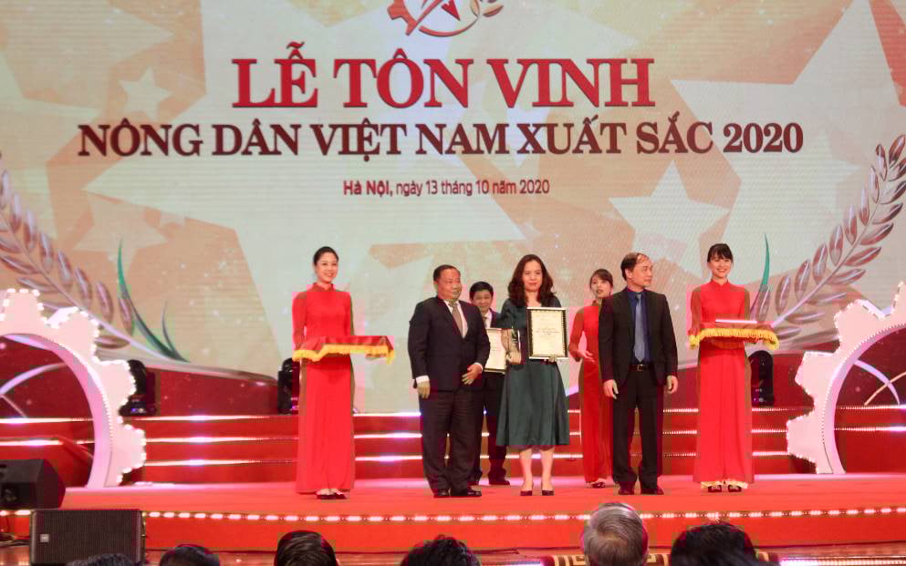 Cô Gái Hà Lan và hành trình kiến tạo giá trị cho ngành chăn nuôi bò sữa bền vững - Ảnh 1.