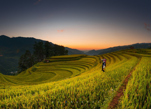 Chiêm ngưỡng dải ngân hà đẹp như phim ở Mù Cang Chải - Ảnh 1.