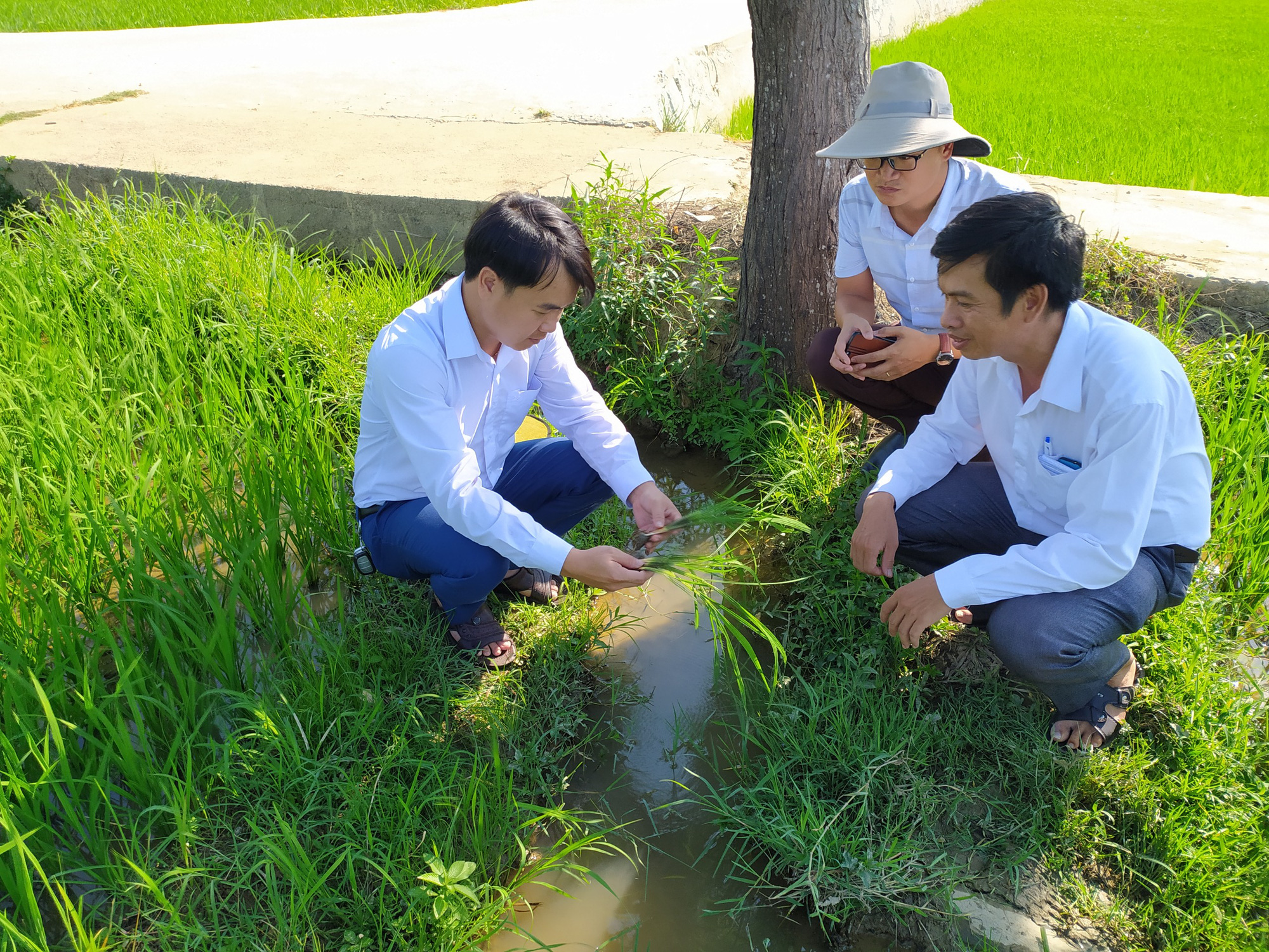Quảng Nam: Hội Nông dân Điện Bàn – Điểm tựa cho bà con nông dân - Ảnh 3.