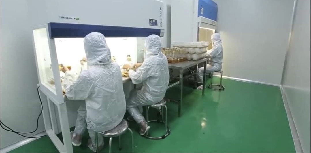 Nấm Lý tưởng với khát vọng &quot;bình dân hóa&quot; nấm Đông trùng hạ thảo - Ảnh 10.