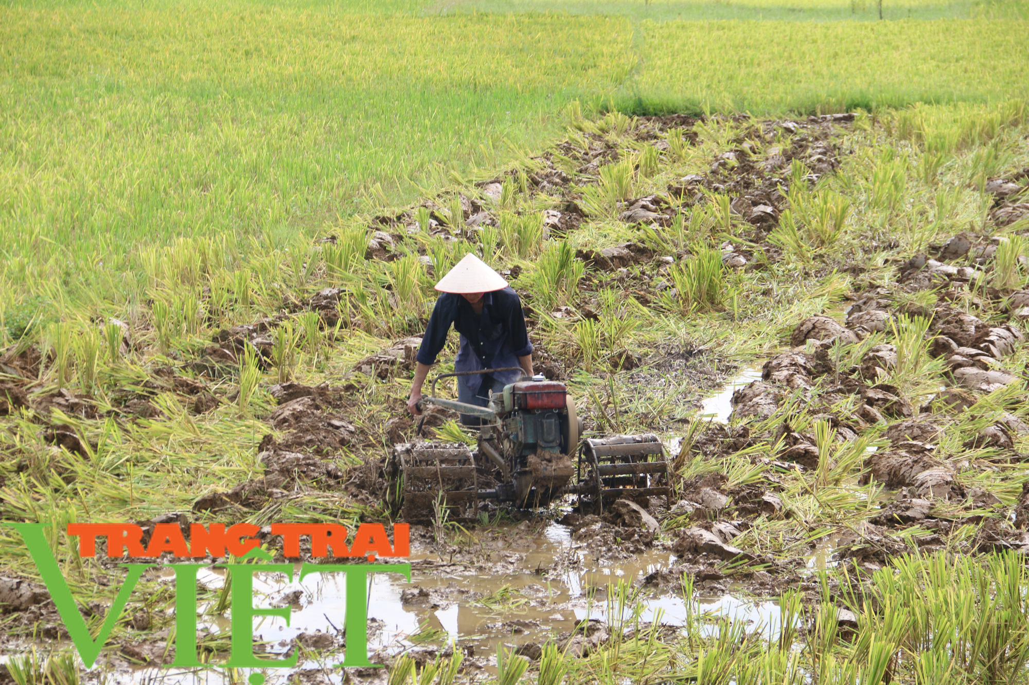 Hội Nông dân huyện Kim Bôi: Triển khai hiệu quả công tác dạy nghề cho hội viên - Ảnh 4.