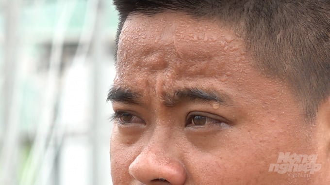 Chuyện về chàng cửu vạn thành tỷ phú dưa lưới - Ảnh 6. Chuyện về chàng cửu vạn thành tỷ phú dưa lưới - Ảnh 6.