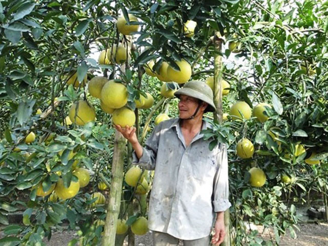 Không có thôn bản “trắng” tín dụng chính sách - Ảnh 1. Không có thôn bản “trắng” tín dụng chính sách - Ảnh 1.