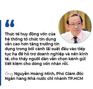 Ngân hàng tư nhân: Sao đổi ngôi - Ảnh 2.